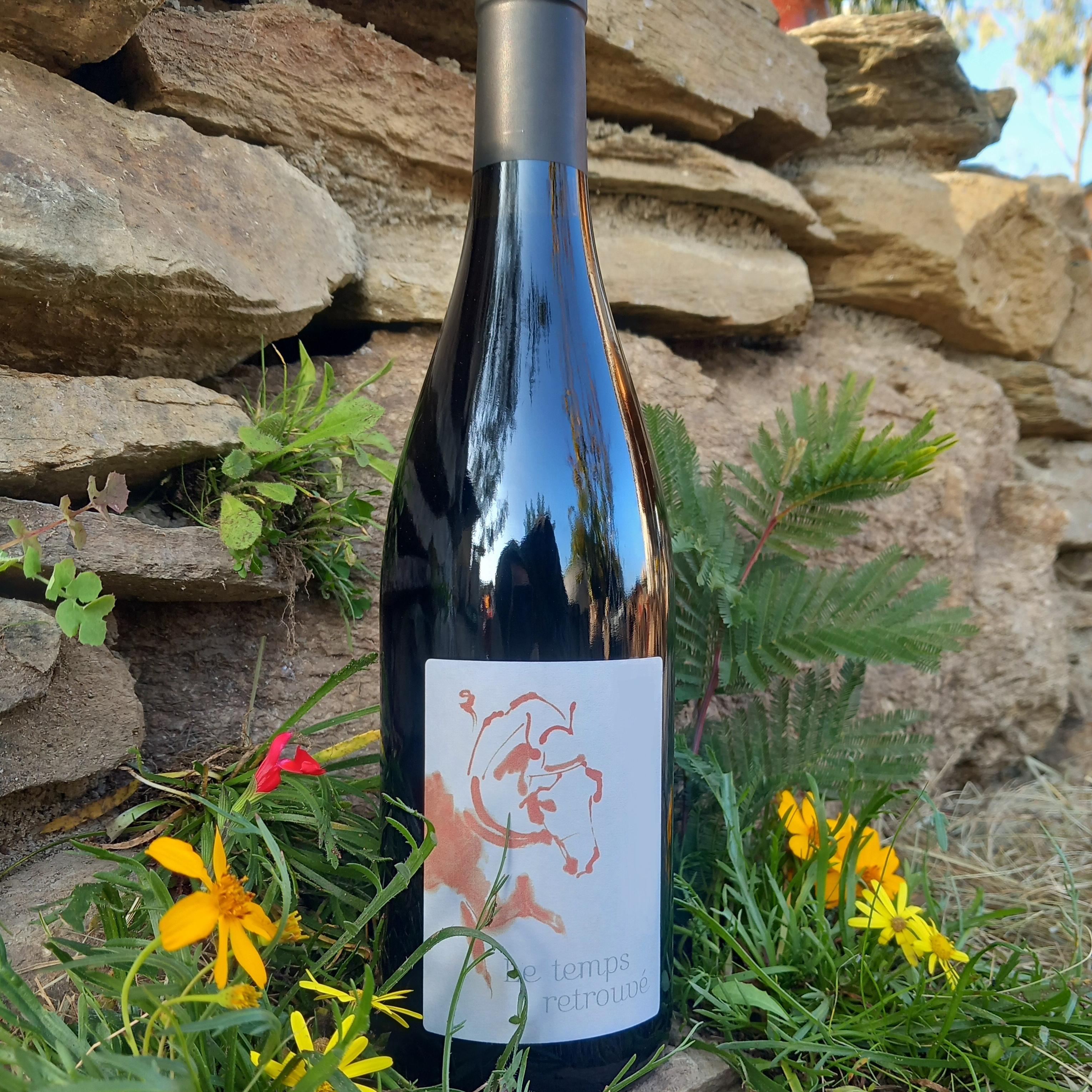 Magnum Harmonie Millésime 2017