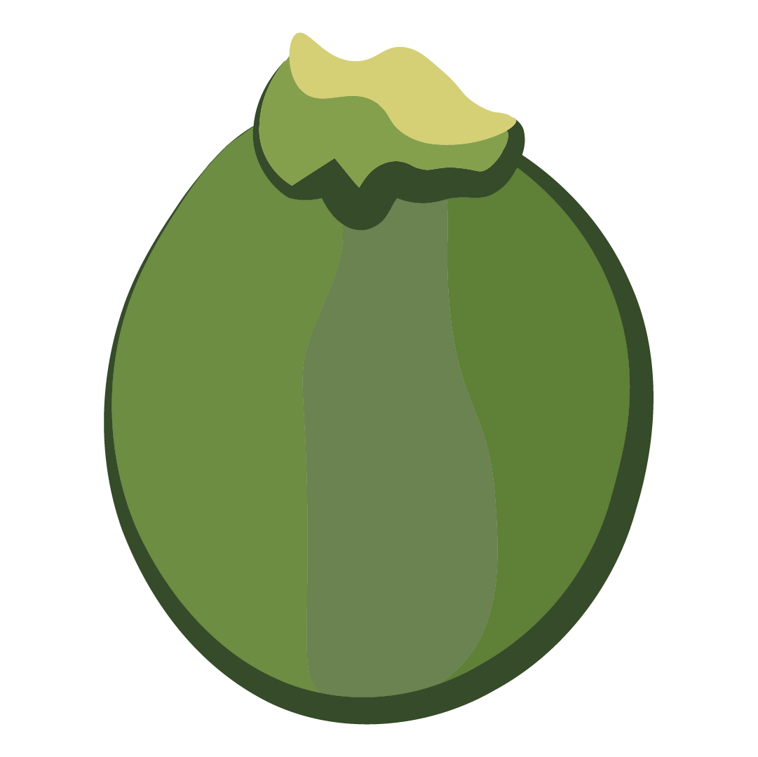 Courgette ronde