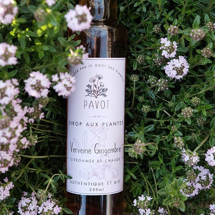 Sirop verveine gingembre
