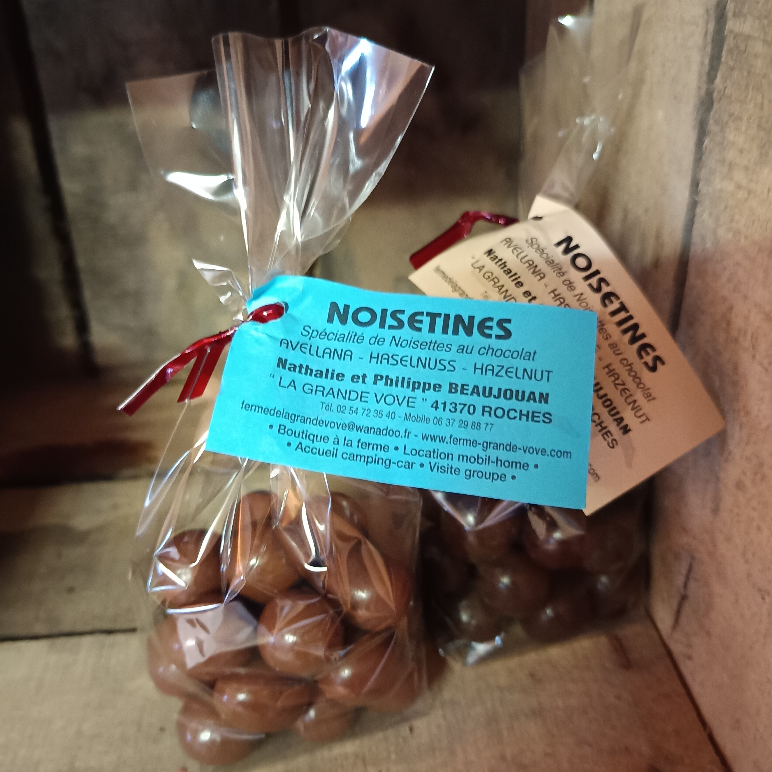 NOISETINES : Noisettes enrobées de chocolat