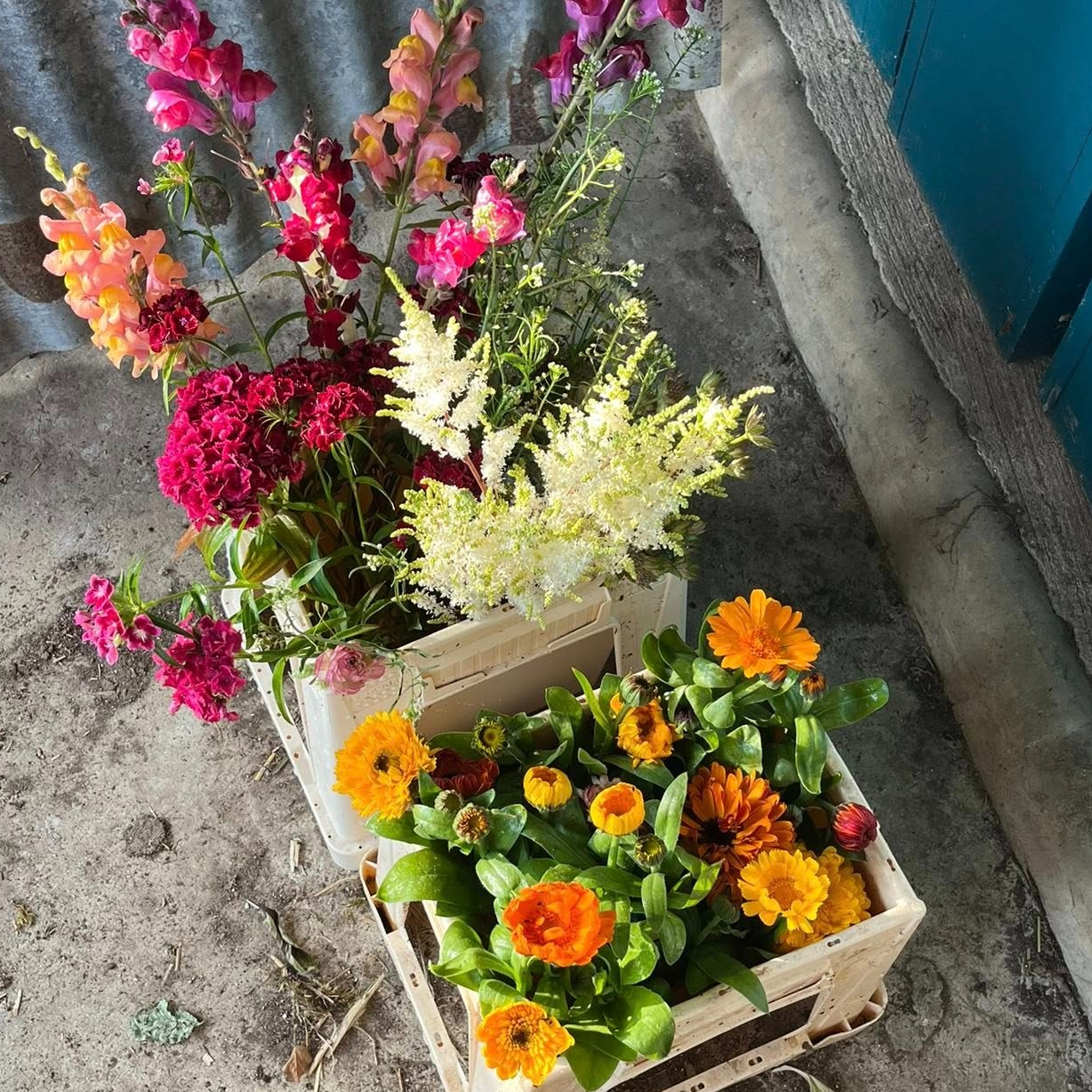 SEAU DE FLEURS DE SAISON - Bouquet