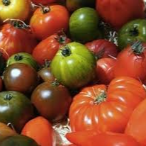 Tomates Anciennes Melanges 1kg (origine:La Cueillette 59 France)