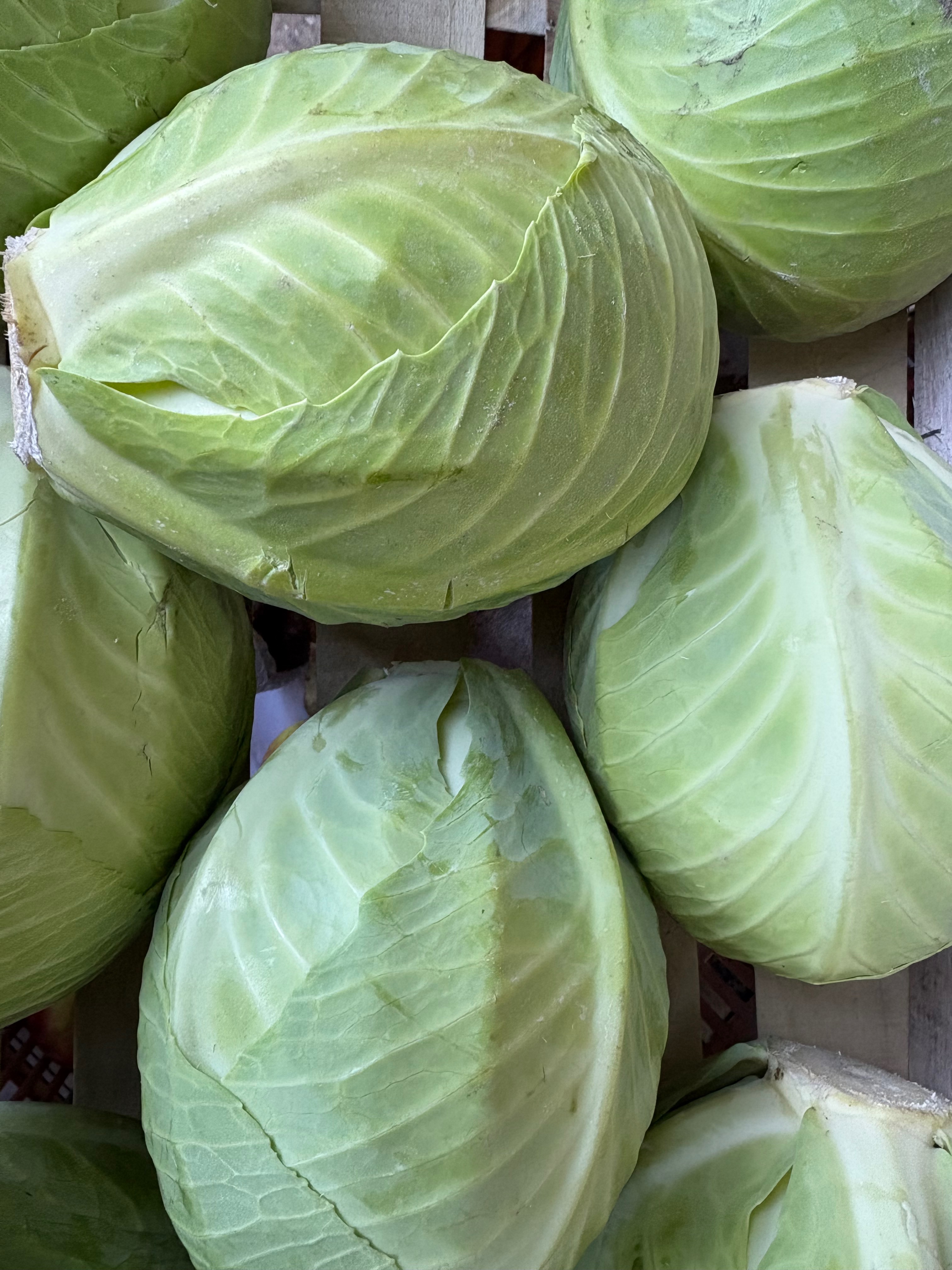 Choux vert