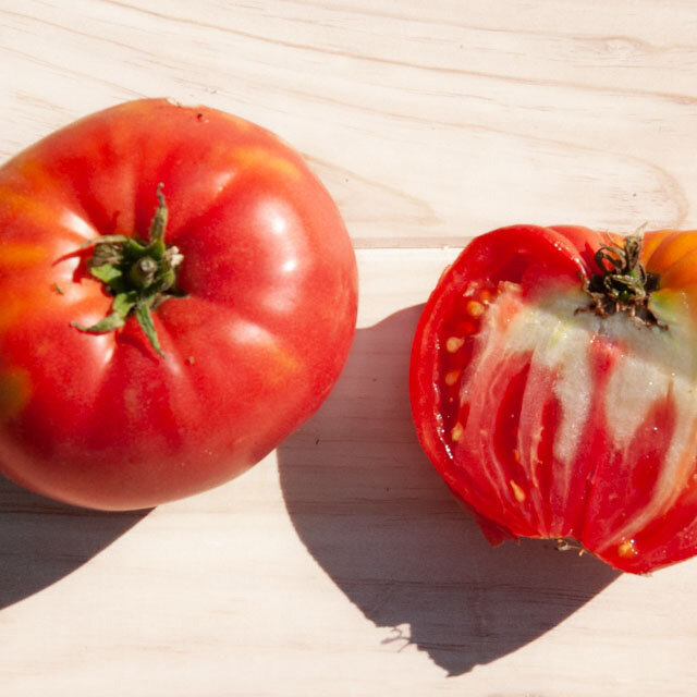 Plant de Tomate - Coeur de Boeuf Hongrois