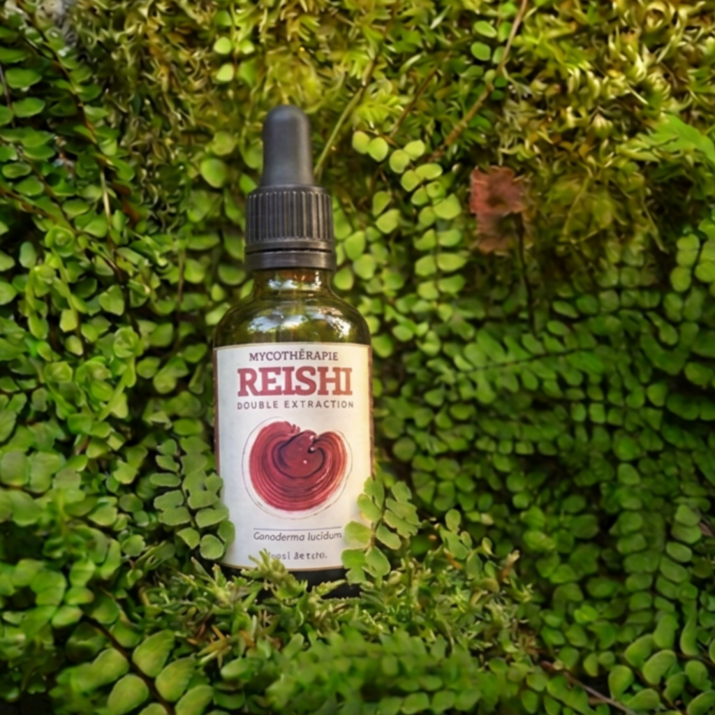 Extracto de Reishi - 50ml
