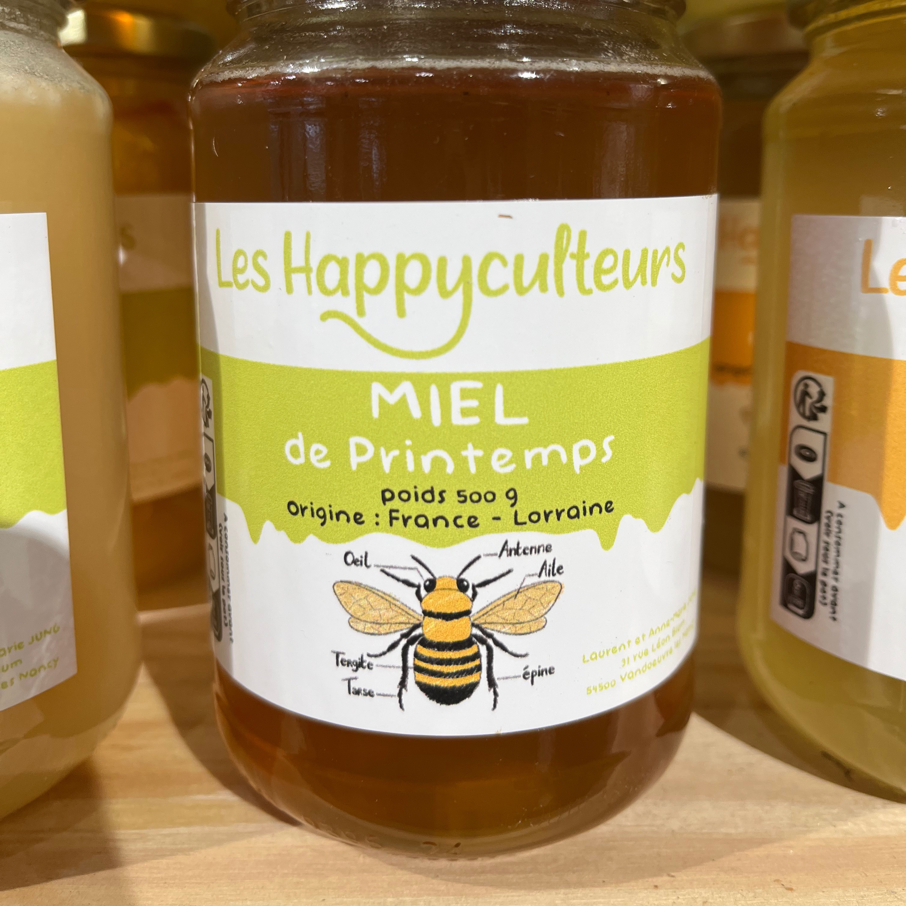 Miel de printemps liquide (500g)