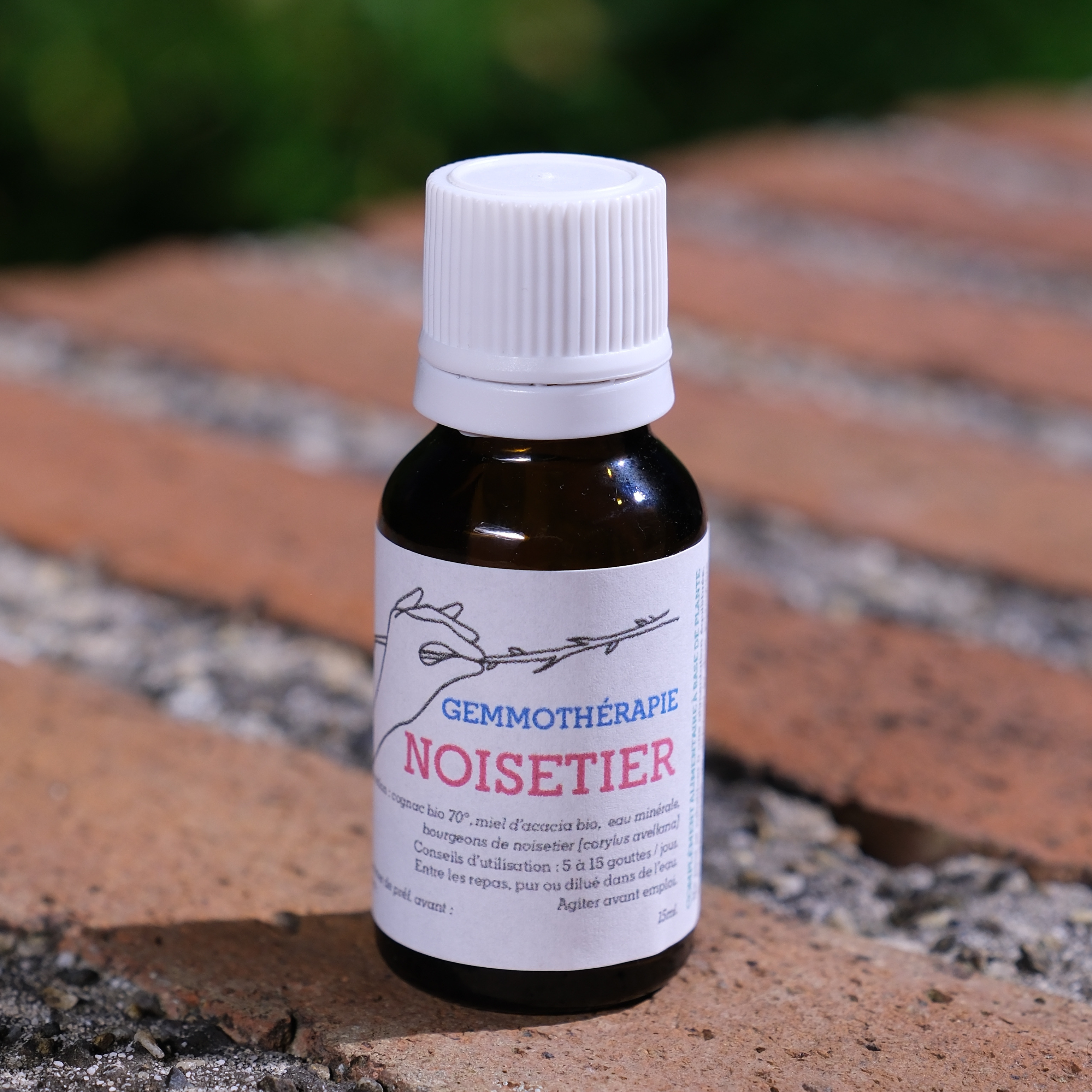 Noisetier • Respiration & Digestion - 15ml