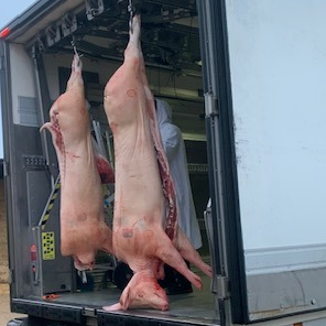 Porc entier - 130kg