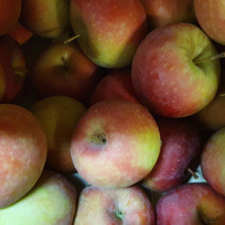 Pomme Dalinette bio et demeter 13kg