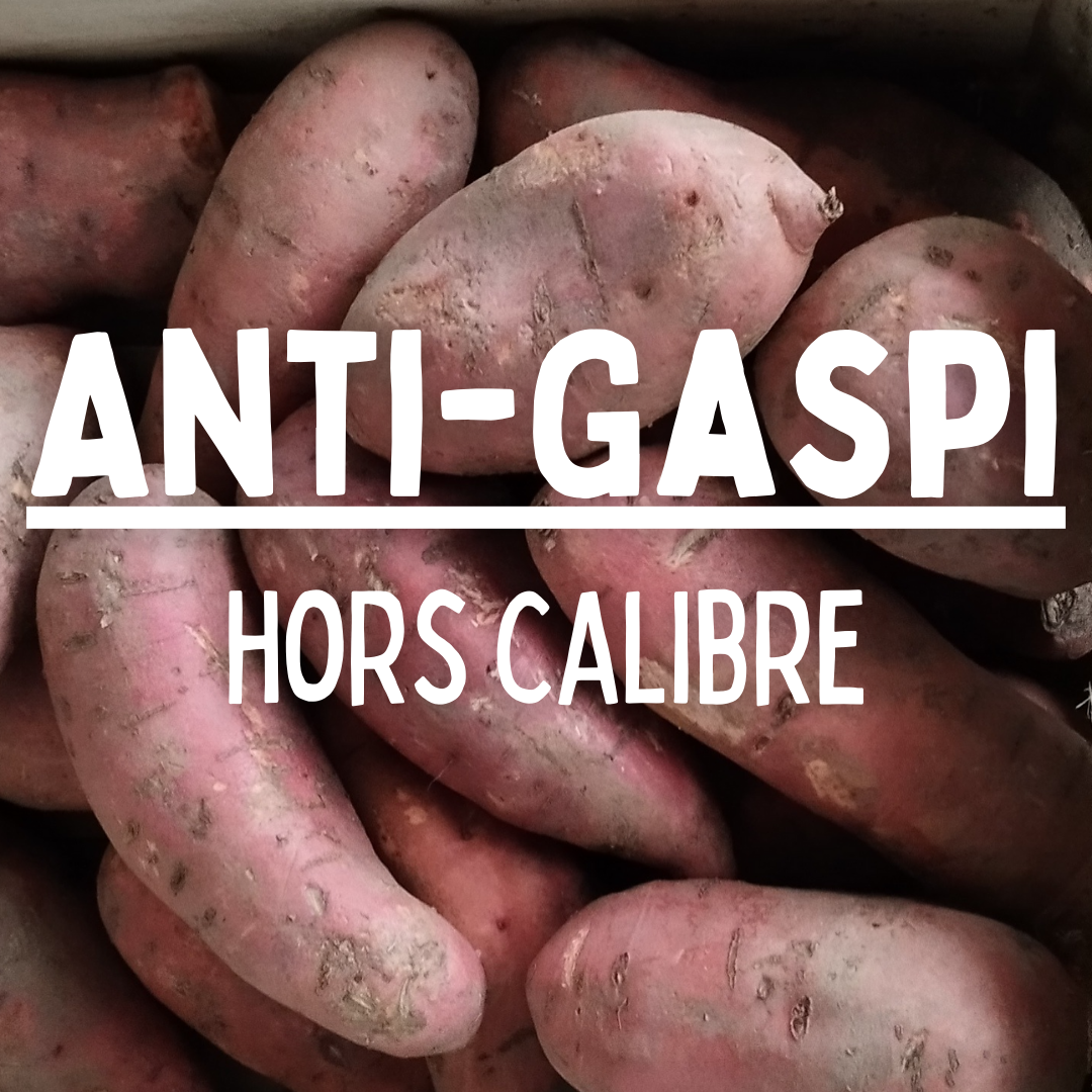 Patate douce ANTIGASPI - 1kg
