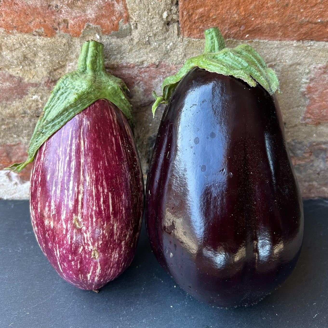 Aubergine