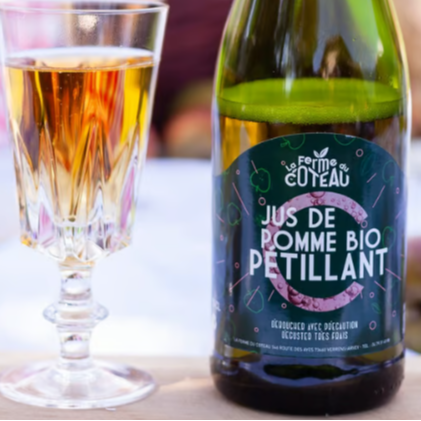 Pétillant de Pomme (sans alcool) - 75cl