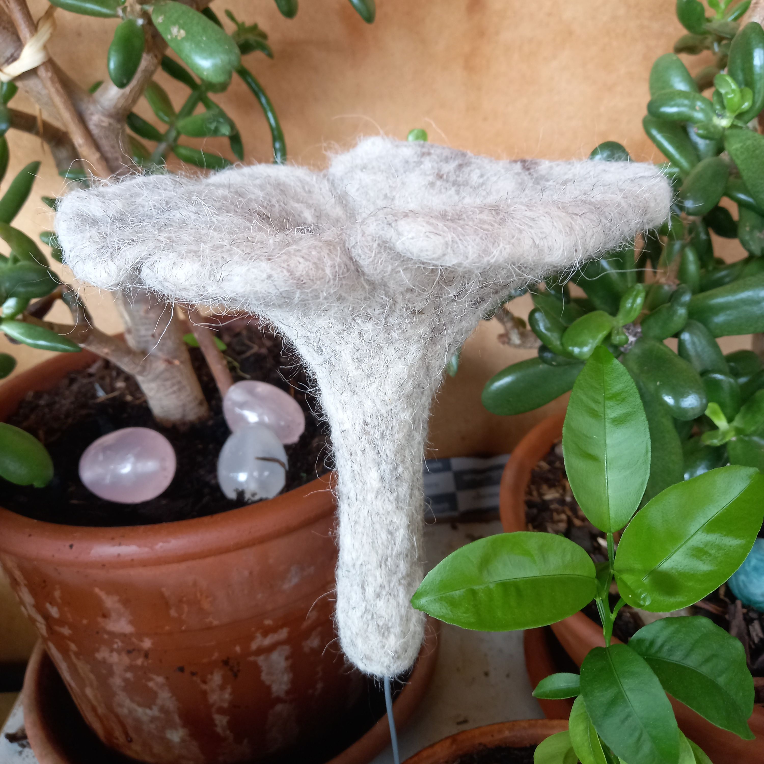 Champignon Trompette décoratif en feutre