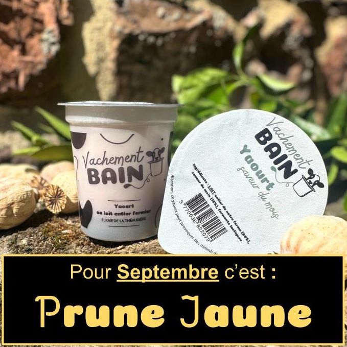 Yaourt à la saveur du mois - 125g