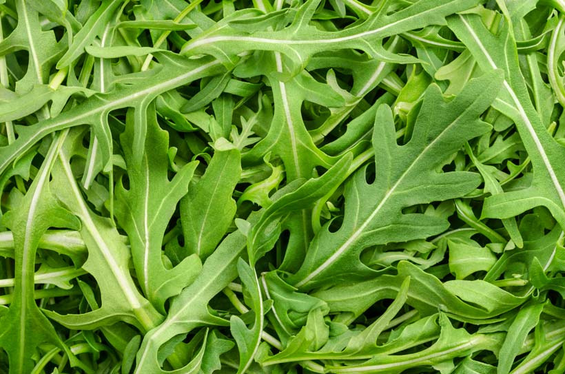 Roquette (100 Gr) B - 0,1kg