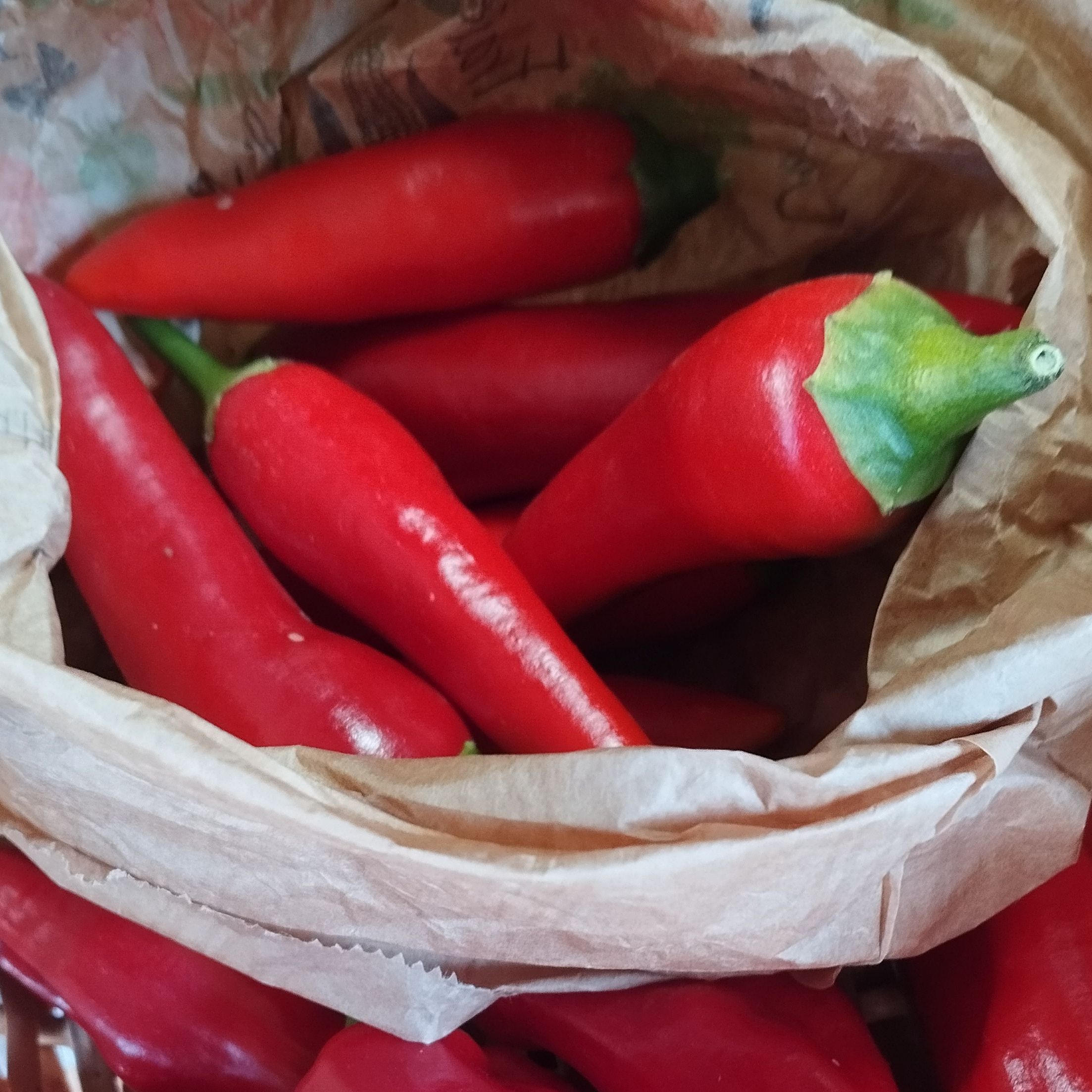 Piment de cayenne frais