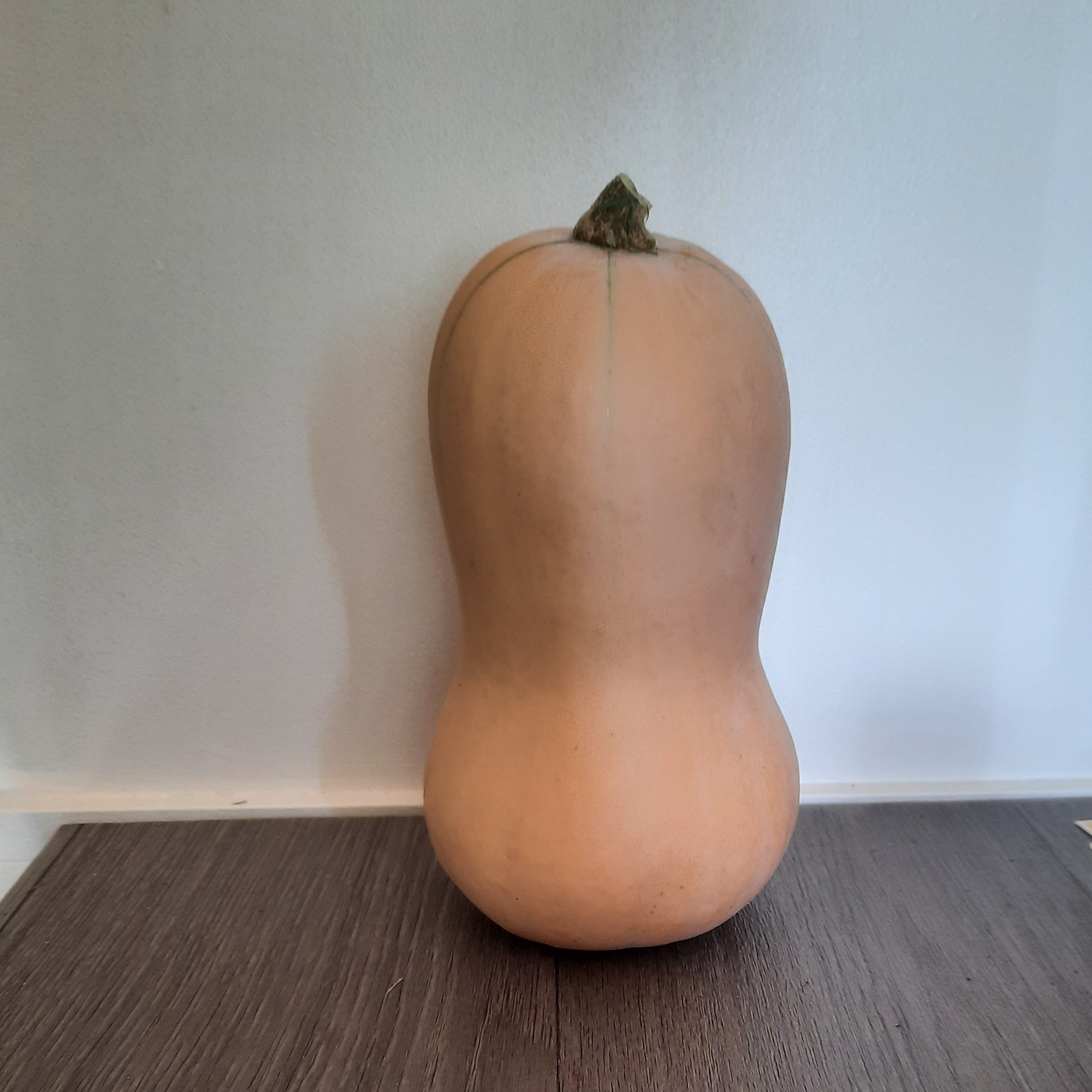 Courge butternut