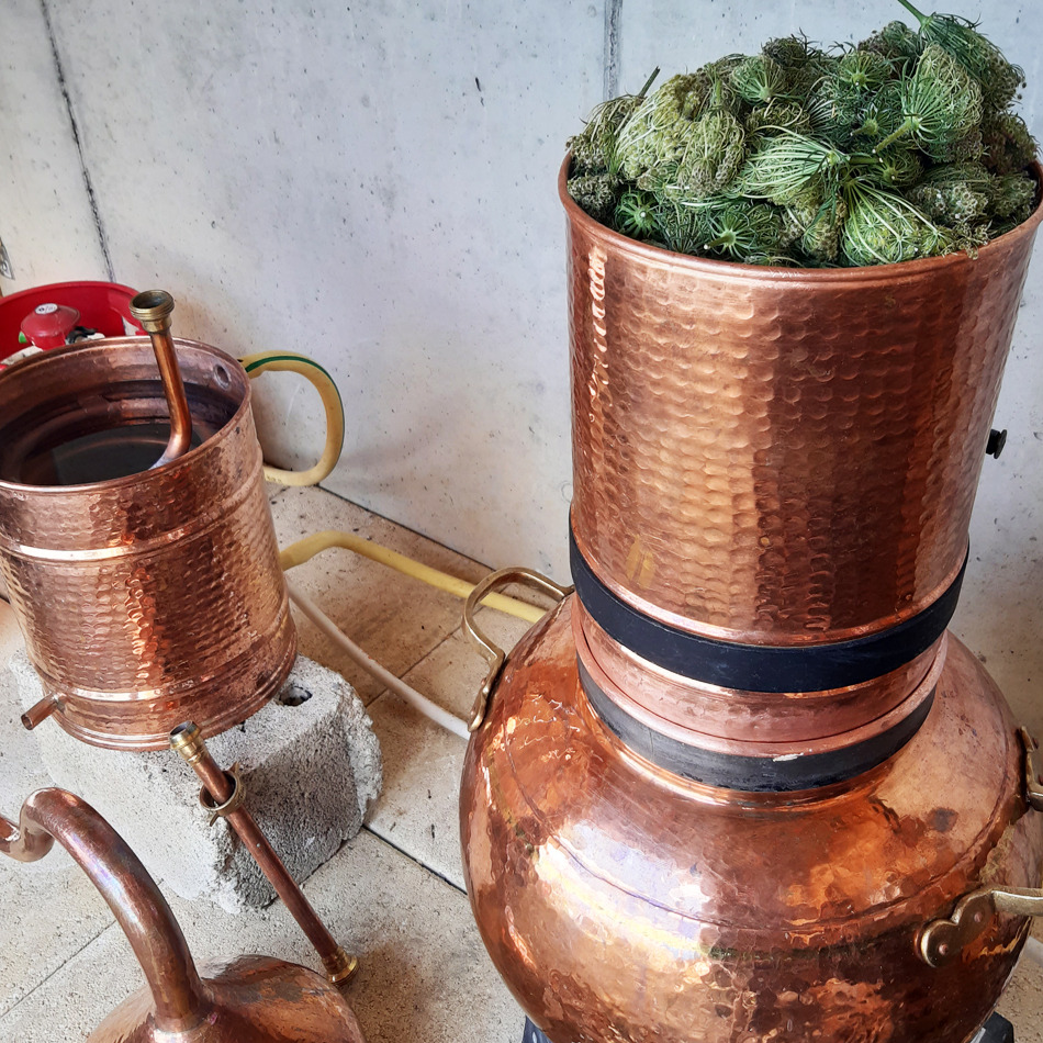 Atelier - Journée les Hydrolats et la distillation