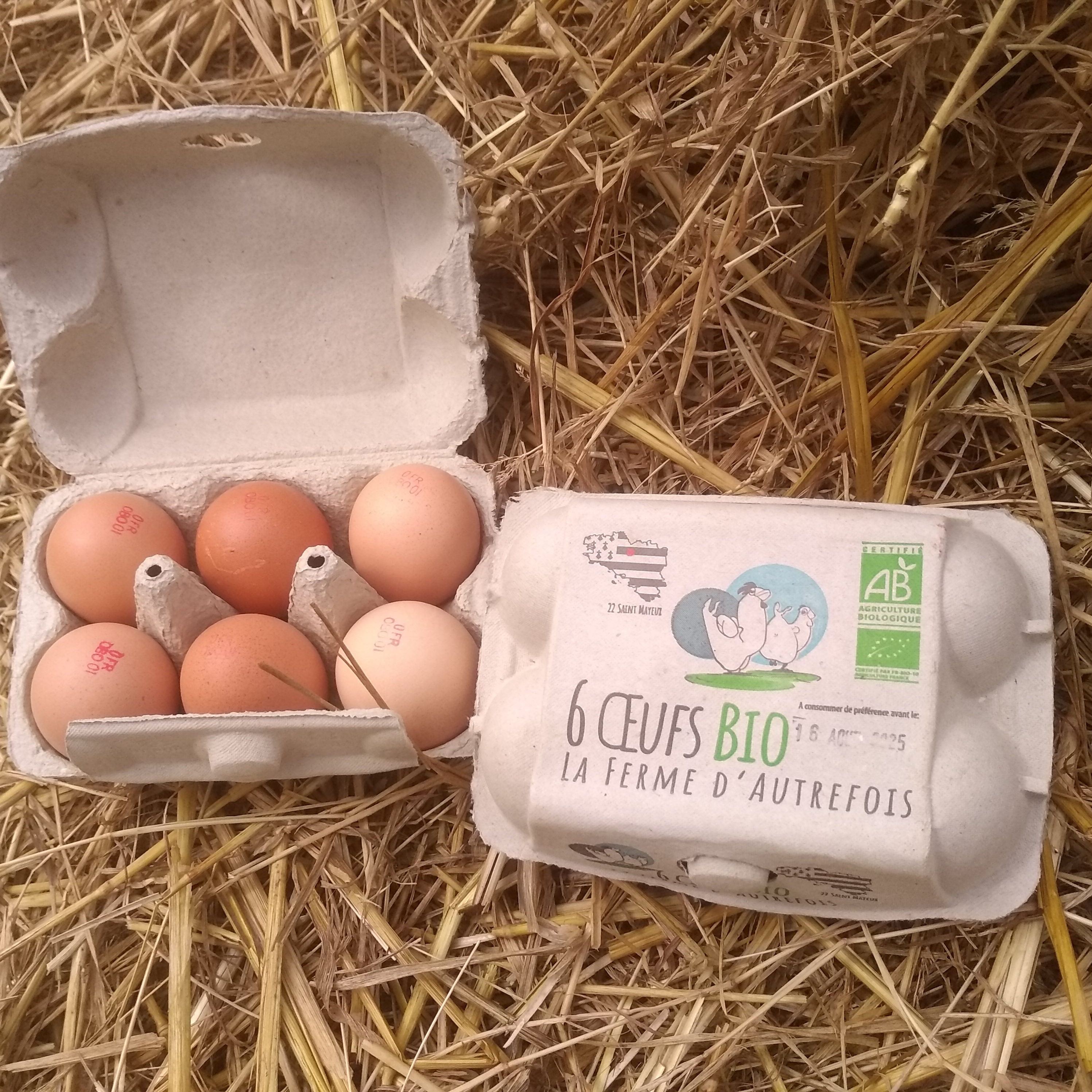Oeufs bio x12