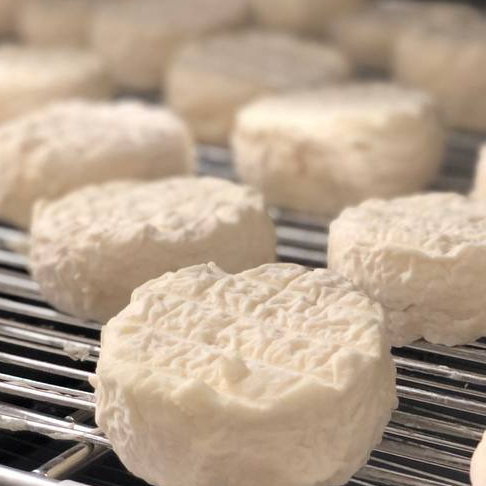 Fromage lactique - 120g