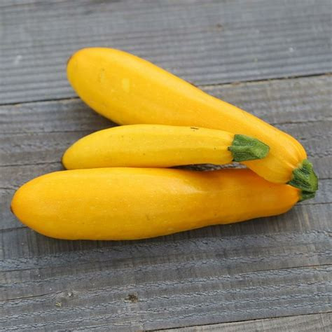 J - JAUNE