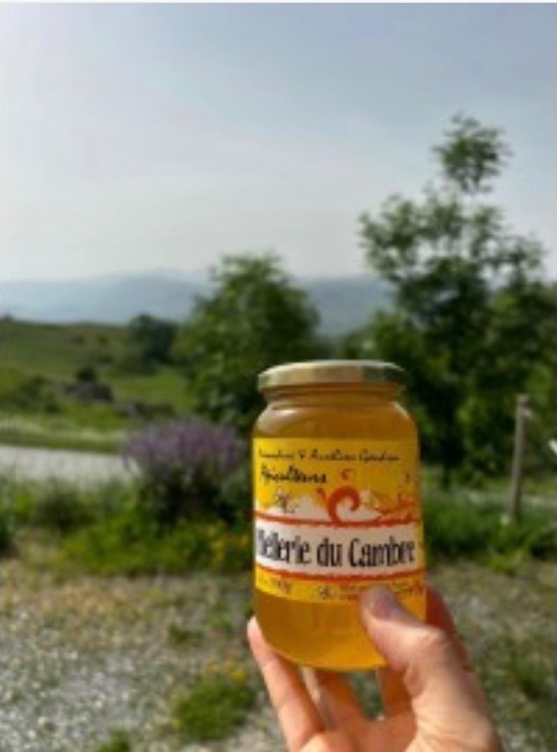 Miel de lavande sauvage/maritime