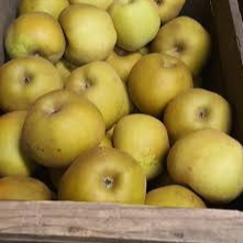 Pomme Canada (petites) - 800g
