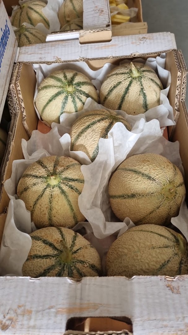 Cagette de 7 Melons - 7kg