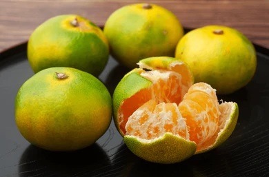 Mandarine - Satsuma
