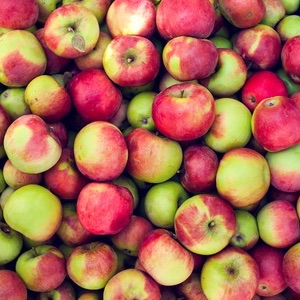 Pomme ‘Idared’ (sucrée, acidulée)