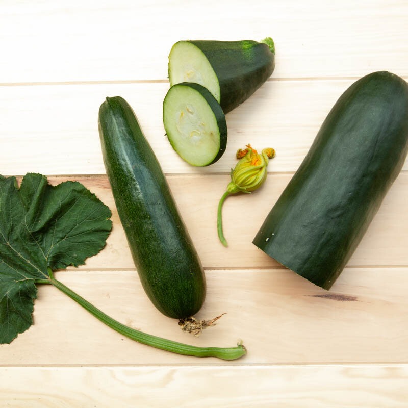 Plant de Courgette - Verte de Milan