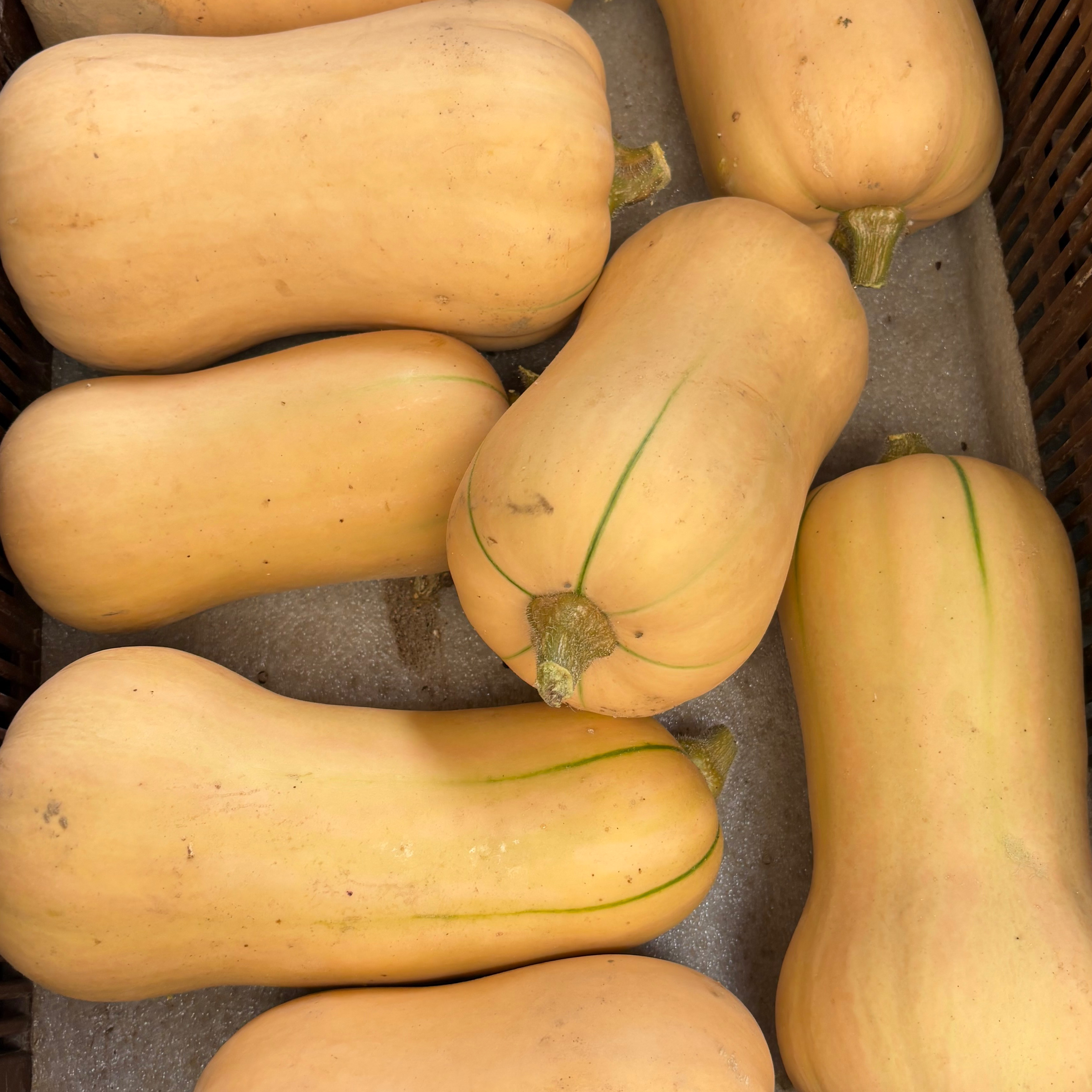 Butternut - 1kg