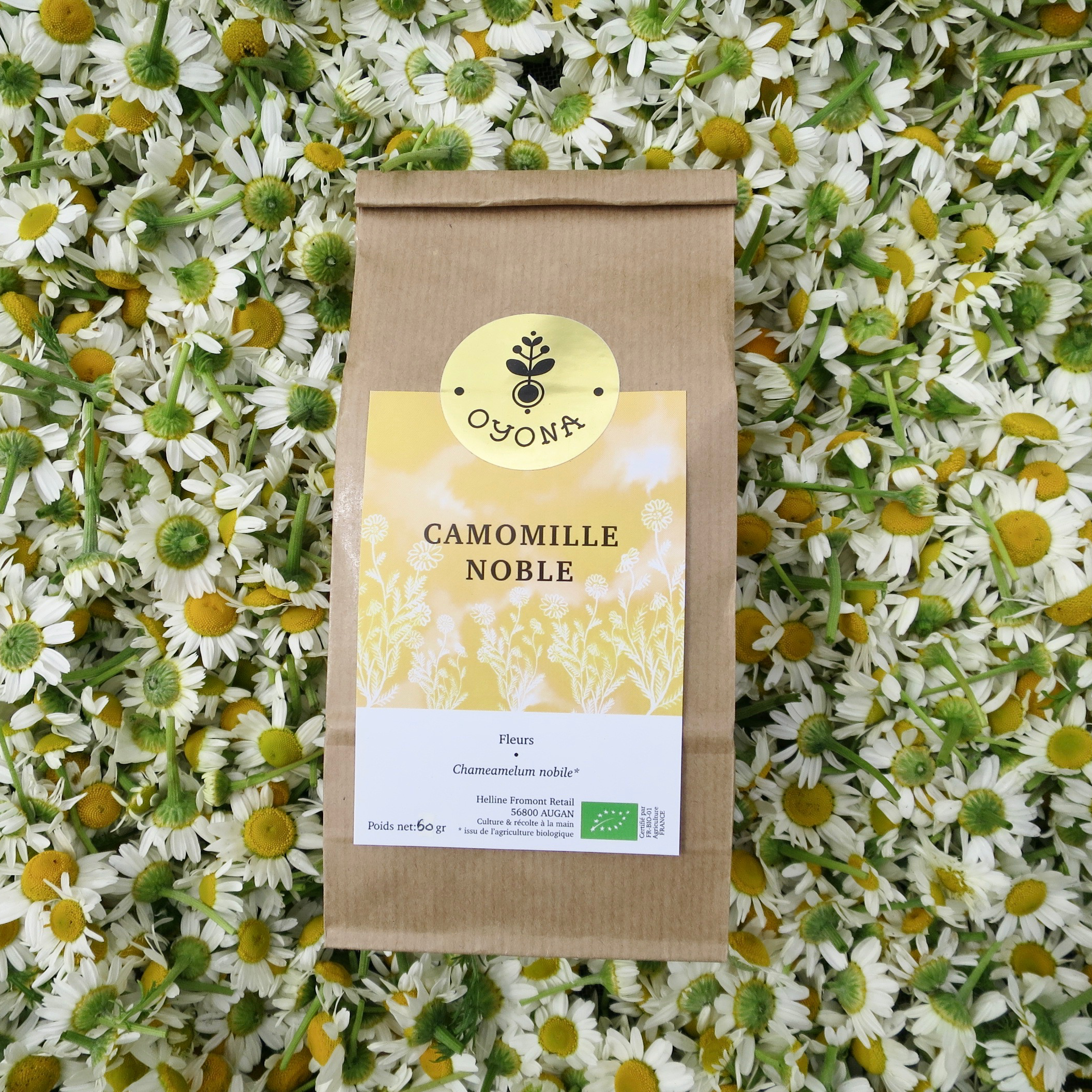 Camomille noble - 40g