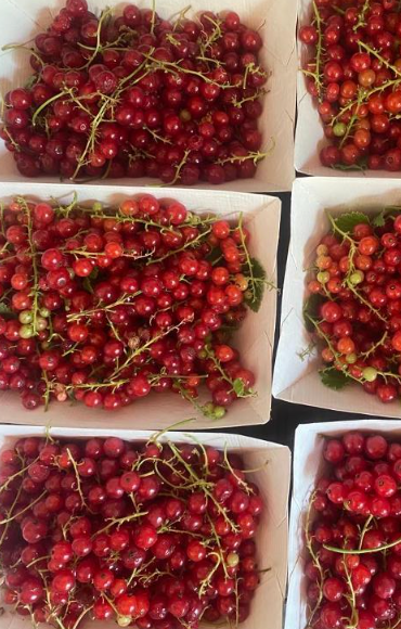 groseilles 200g - 200g