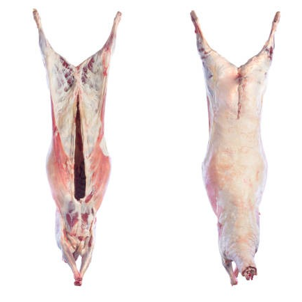 Carcasse d'agneau 15-18kg - 17kg