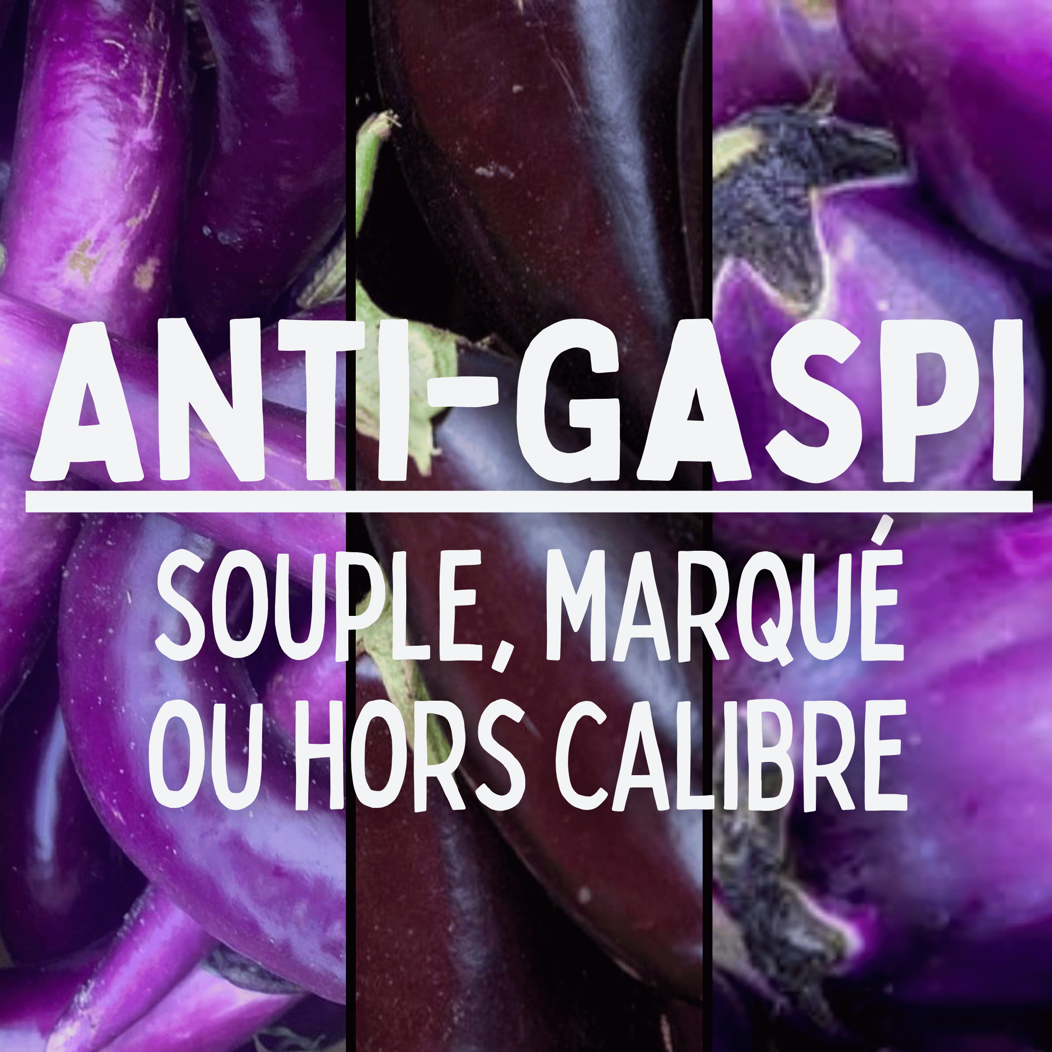 Aubergine ANTIGASPI - 500g
