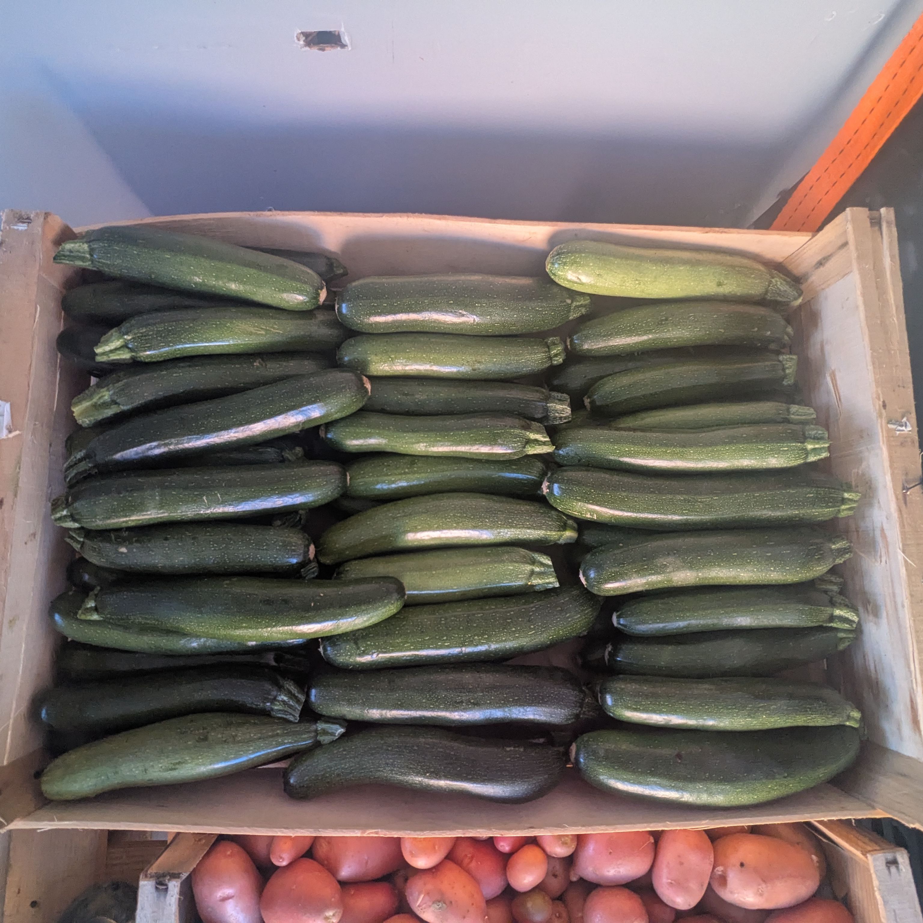 Colis Courgettes vertes - 5 Kg