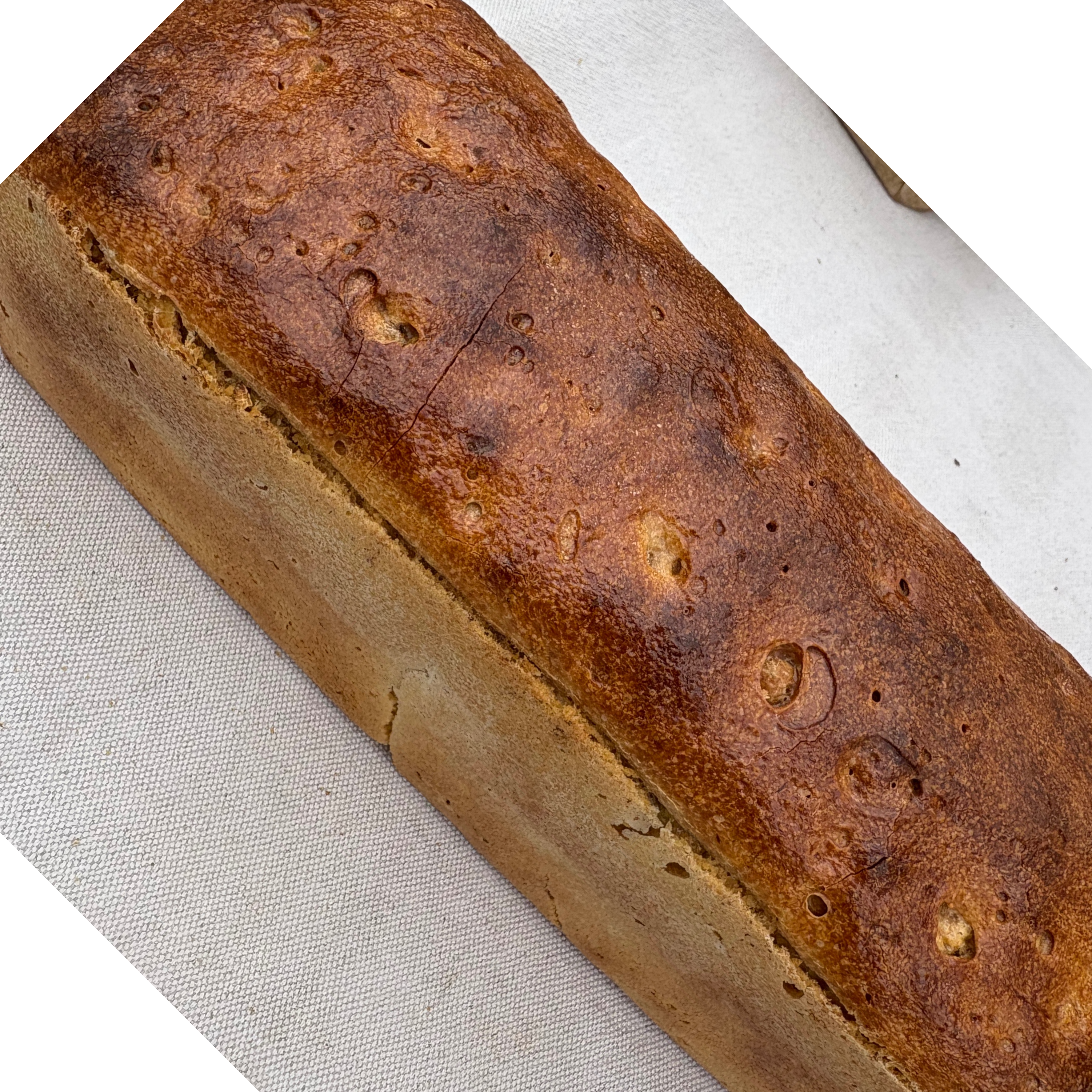 Pain - 100% Petit Epeautre BIO et 100% Côte D'Or - 700g