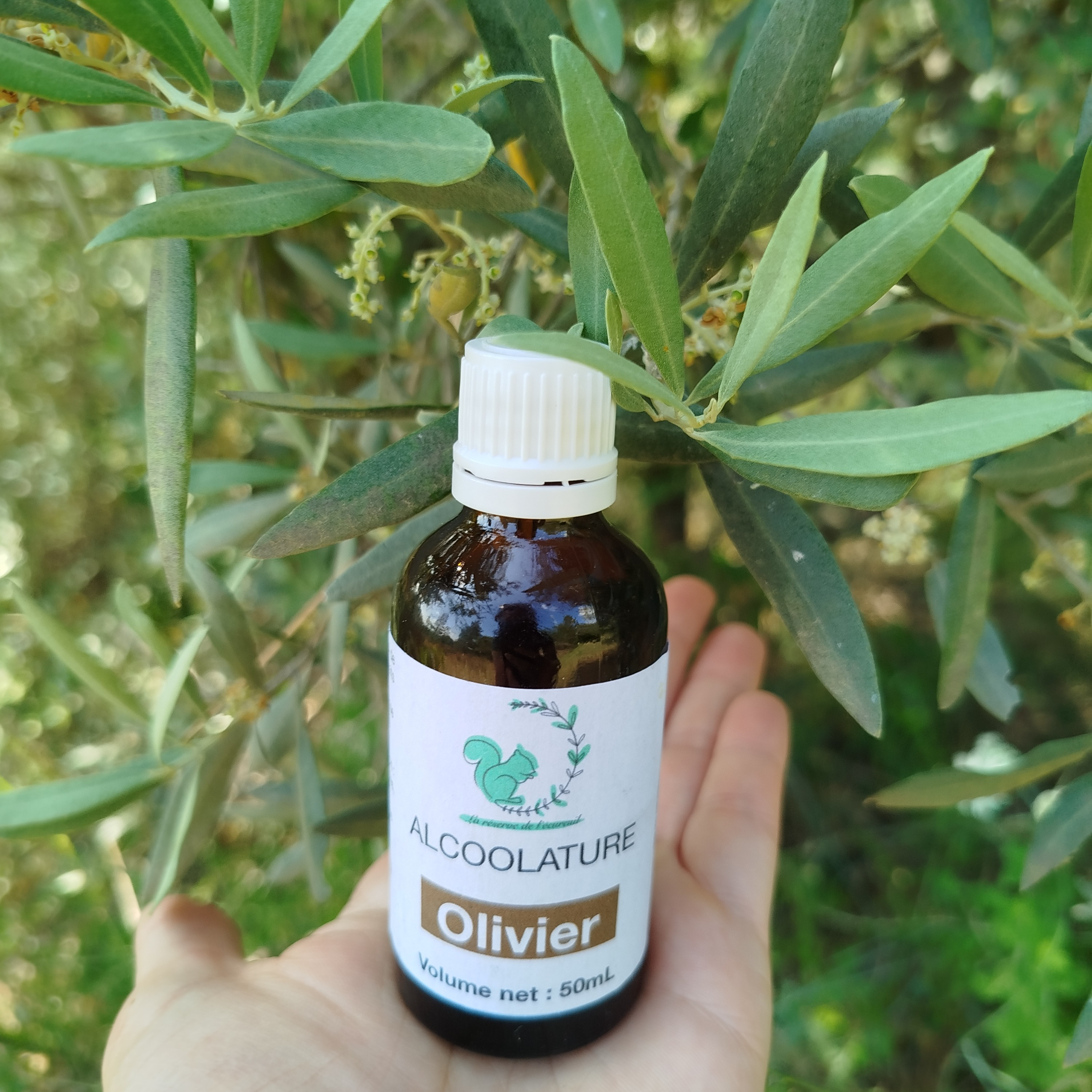 Alcoolature Olivier