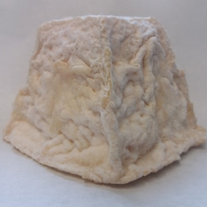 Pyramide de chèvre BIO