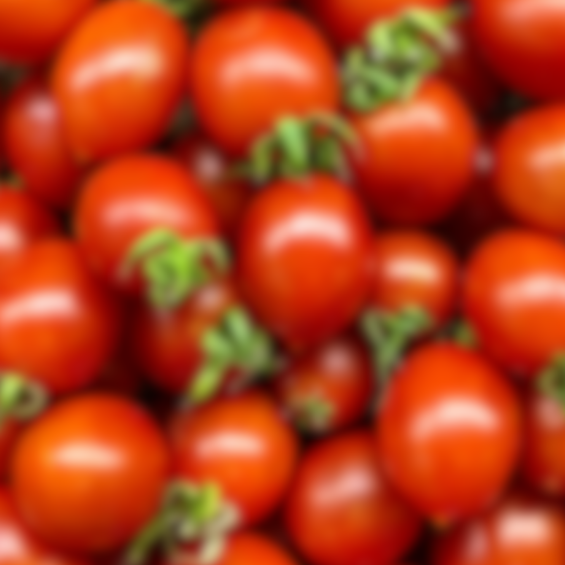 Plateau de 4 kg de tomates à coulis - 4kg