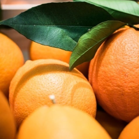 Orange feuille de Corse - 500g