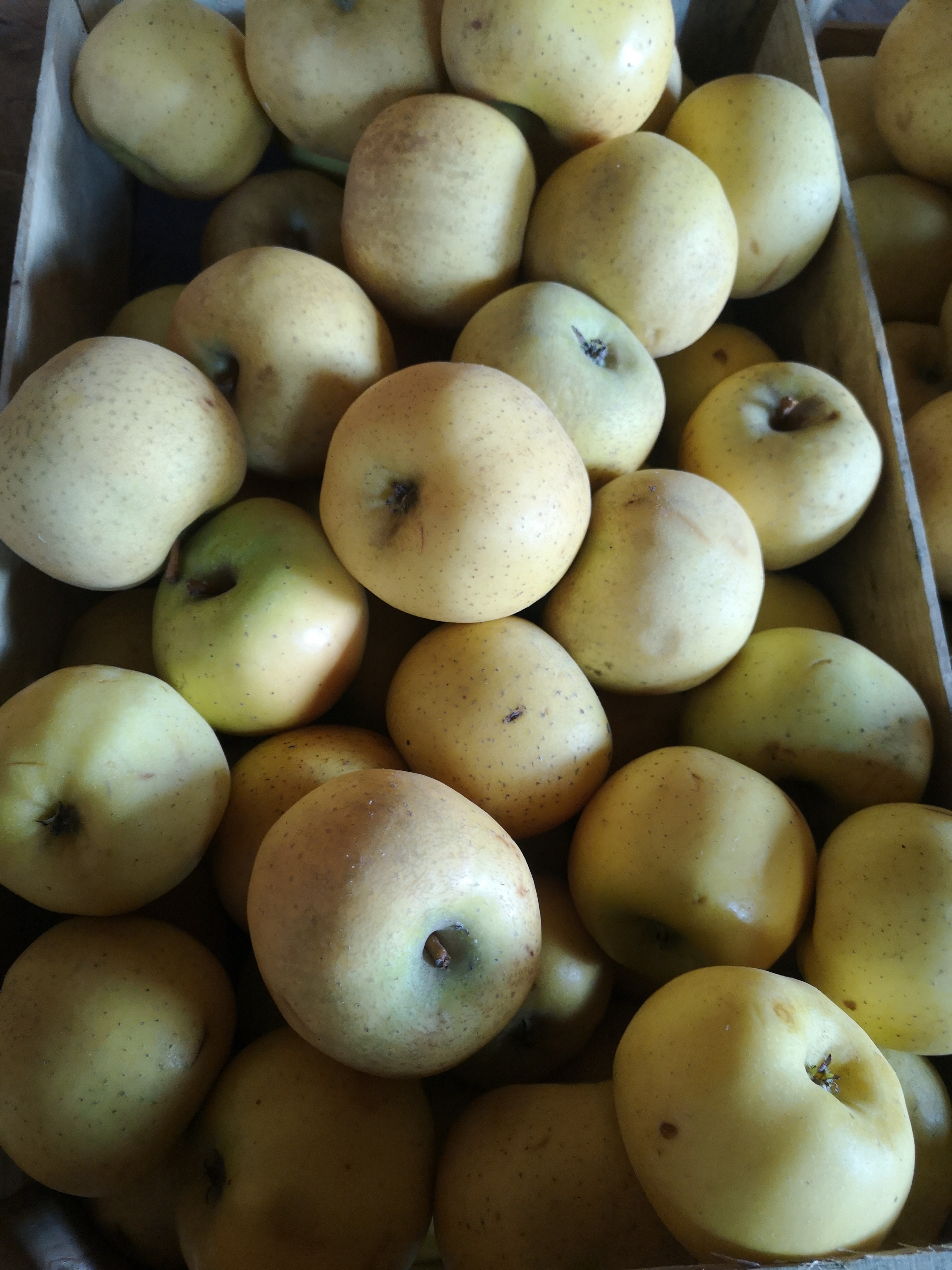 Pomme Belchard (kg)
