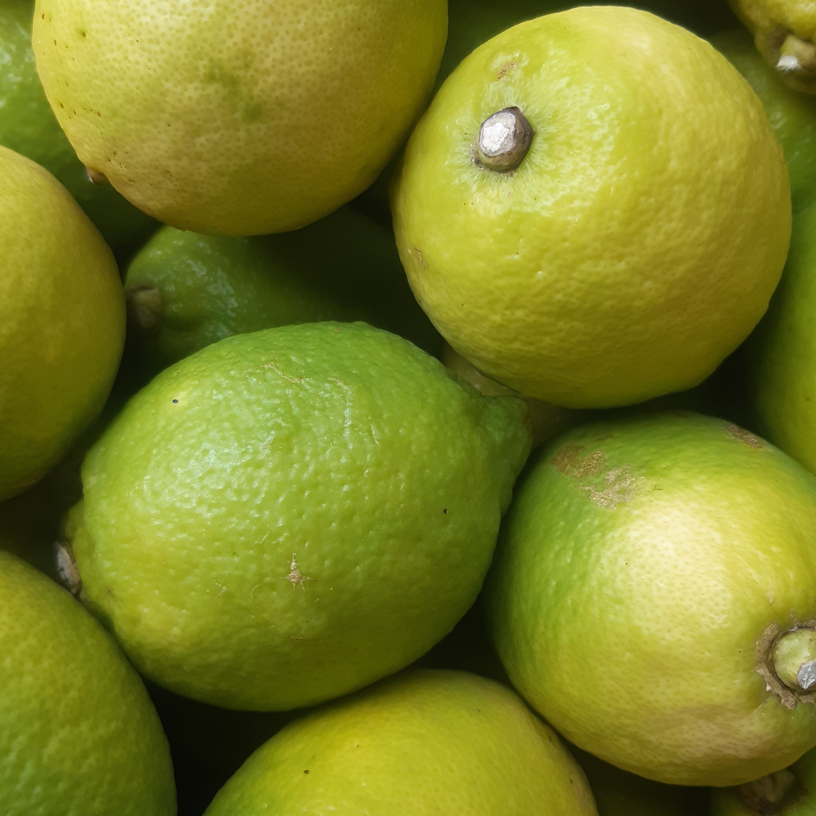 CITRON JAUNE DE SICILE - 500g