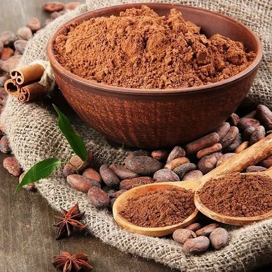 Cacao en poudre KAOKA 250g