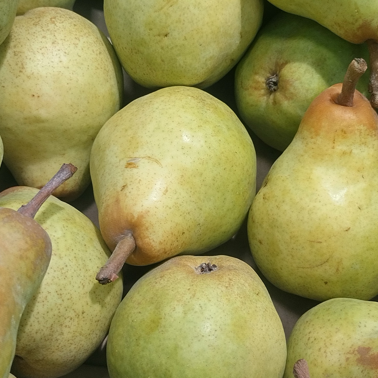 Poire william