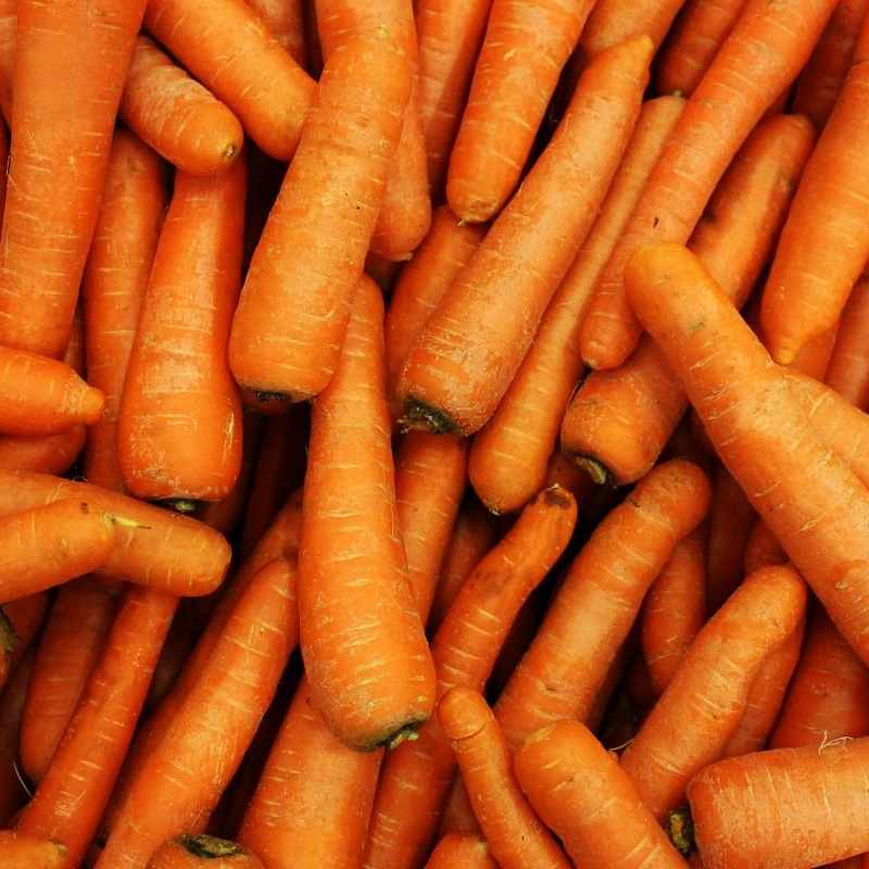 Carotte vrac