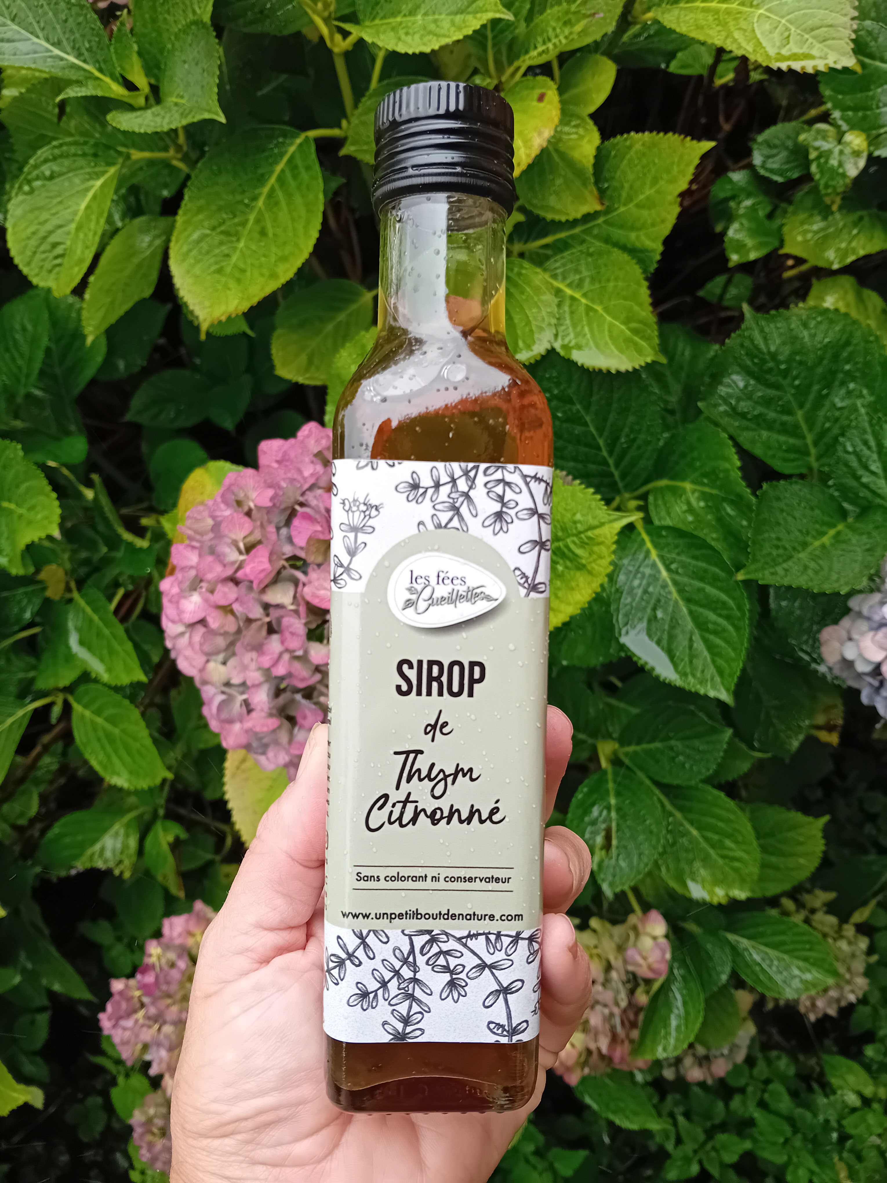Sirop de Thym Citron - 500ml