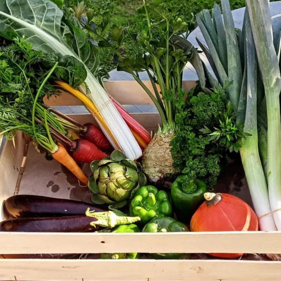 Panier hebdomadaire - abonnement 6 mois