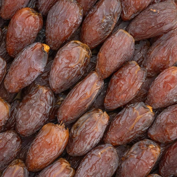 Dattes 'Medjool' (Grosses)